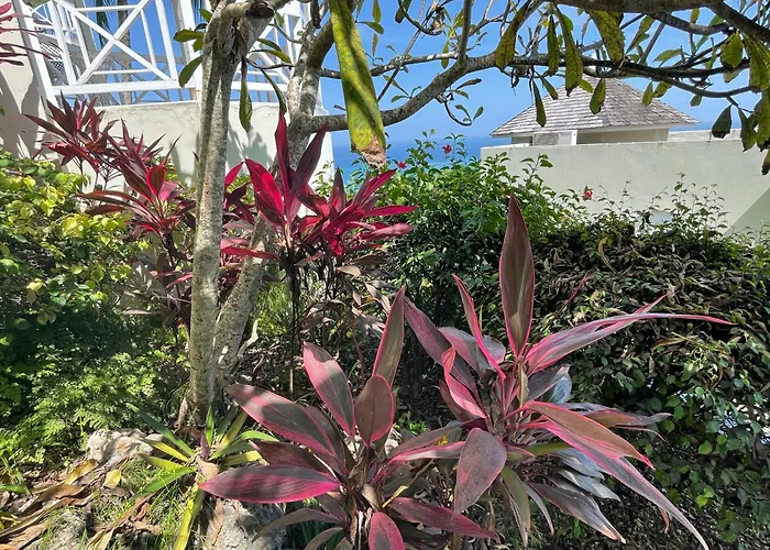 Oceanbreeze Jamaica Penthouse, 7-minute Walk To *